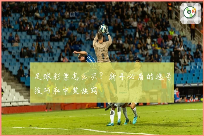 足球彩票怎么买？新手必看的选号技巧和中奖诀窍