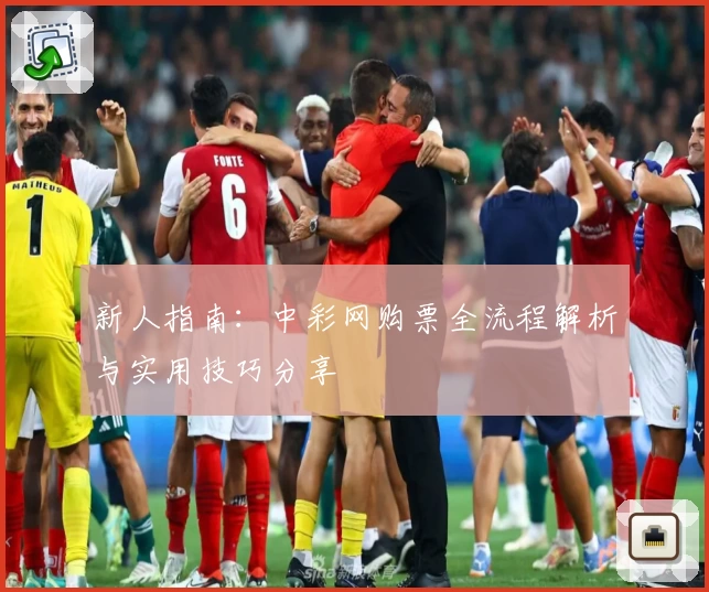 新人指南：中彩网购票全流程解析与实用技巧分享