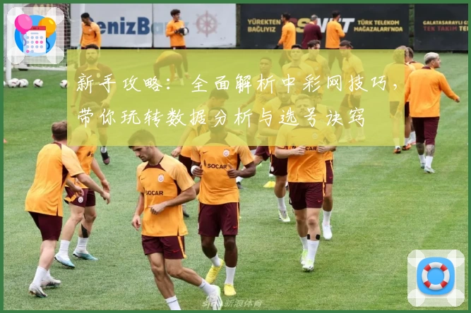 新手攻略：全面解析中彩网技巧，带你玩转数据分析与选号诀窍