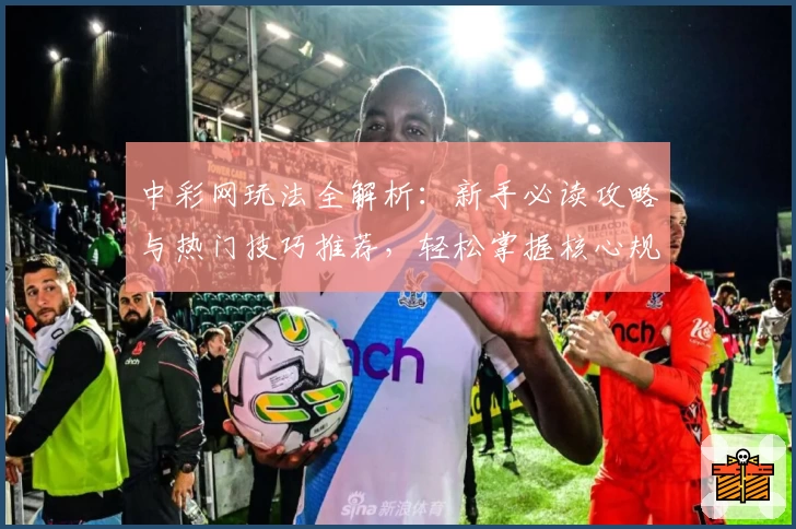 中彩网玩法全解析：新手必读攻略与热门技巧推荐，轻松掌握核心规则