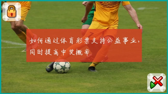 如何通过体育彩票支持公益事业，同时提高中奖概率