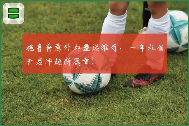 施鲁普意外加盟诺维奇，一年租借开启冲超新篇章！