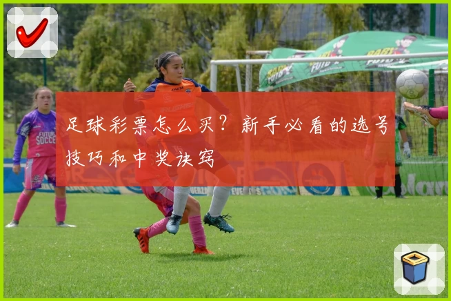 足球彩票怎么买?新手必看的选号技巧和中奖诀窍